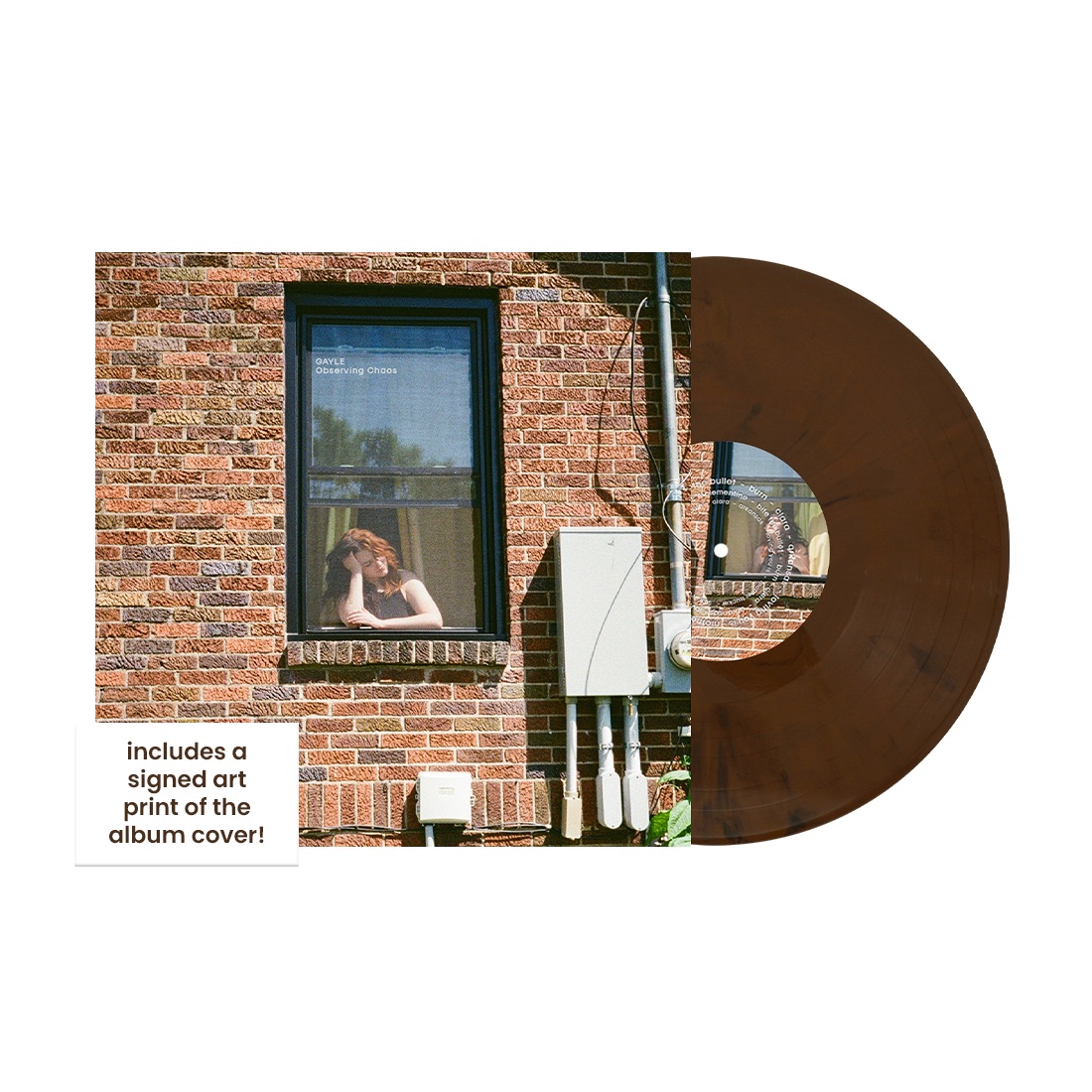 GAYLE — Observing Chaos (vinyle Floor-board Brown signé)