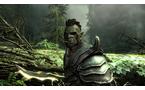 The Elder Scrolls V: Skyrim - Nintendo Switch