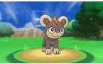 Pokemon Y - Nintendo 3DS