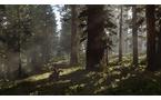 Red Dead Redemption 2 - Xbox One