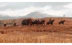 Red Dead Redemption 2 - Xbox One
