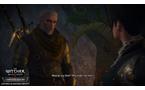 The Witcher III: Wild Hunt - Nintendo Switch